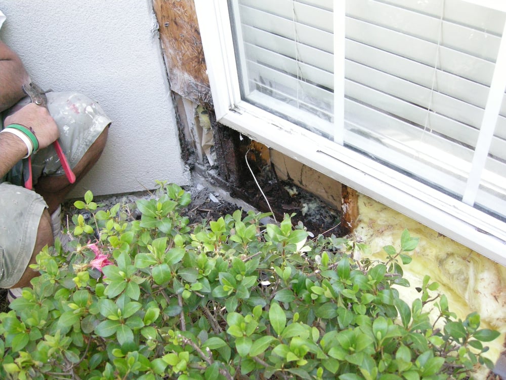 Exterior Building Repairs