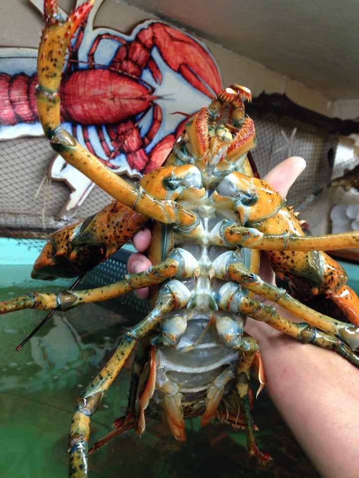 Photo credit: yellowpages