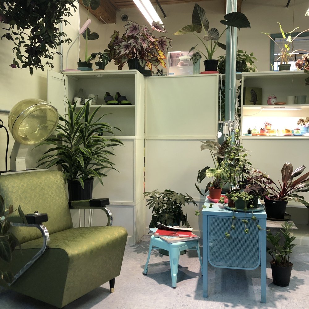 Haircuts and Houseplants 132 Main St Suite 1H, Haydenville Massachusetts 01039