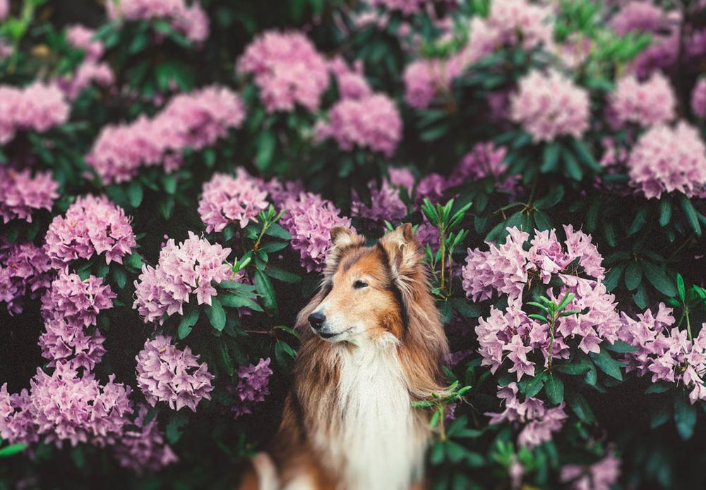 Photo credit: 