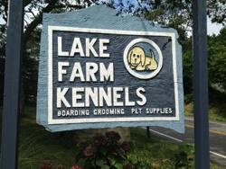 Lake Farm Boarding Kennels