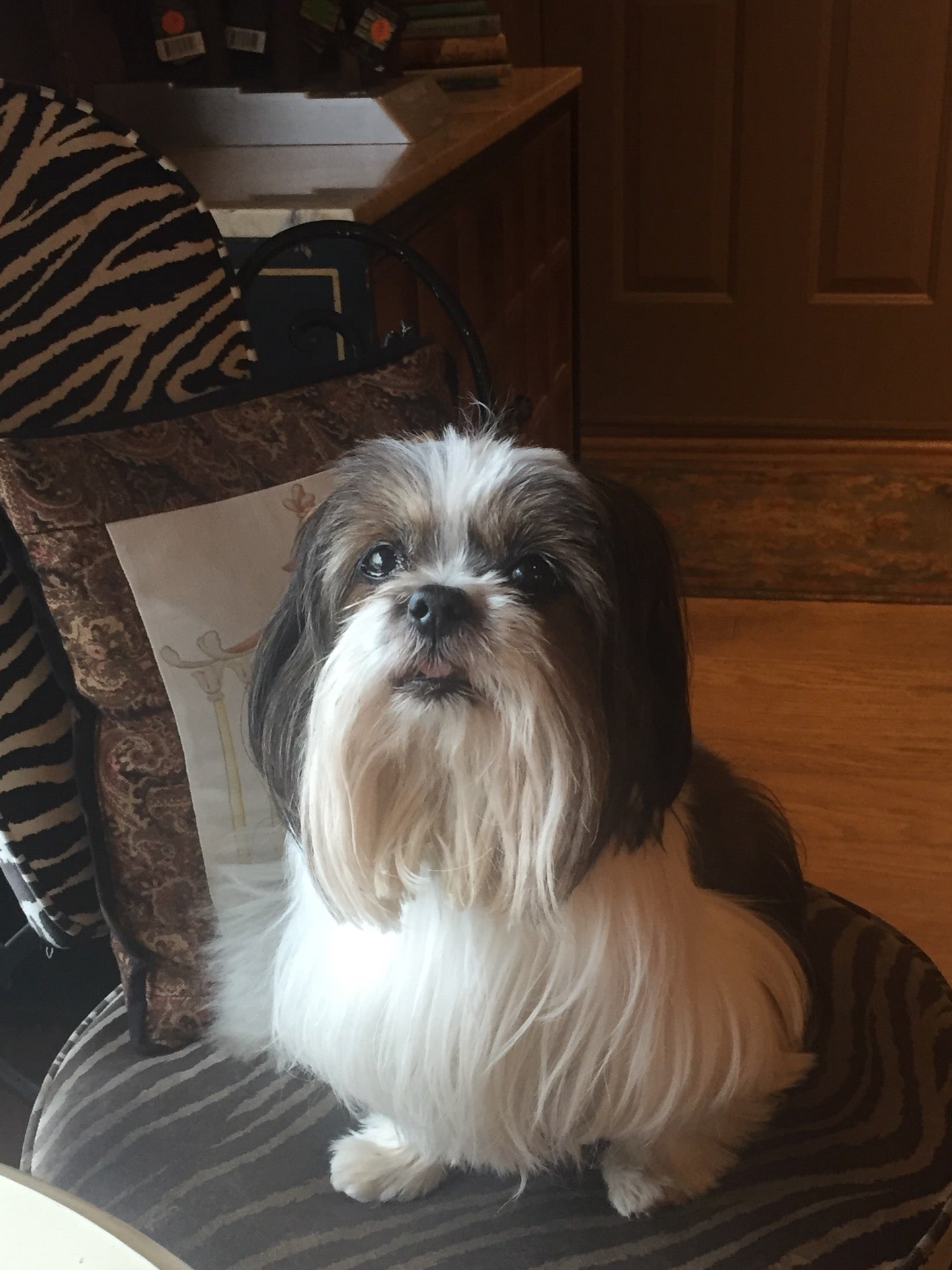 Photo credit: yellowpages