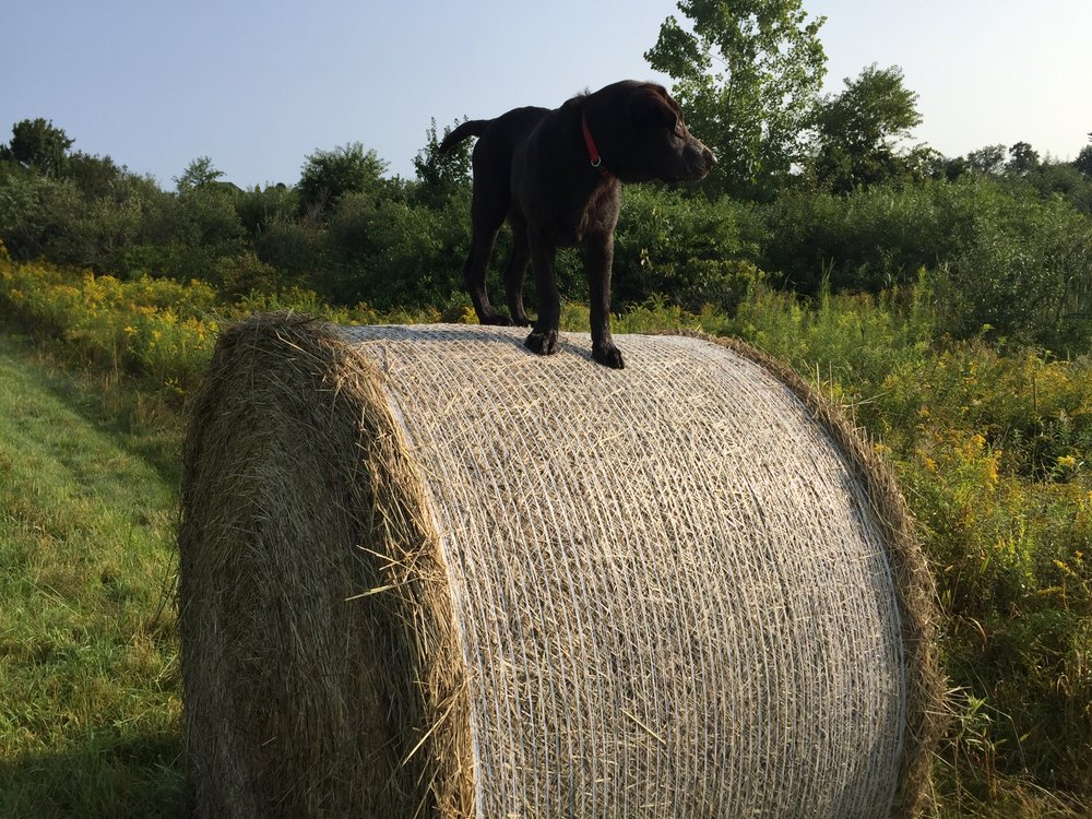 Photo credit: 