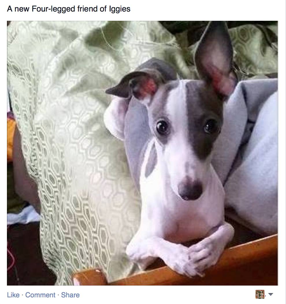 Photo credit: facebook