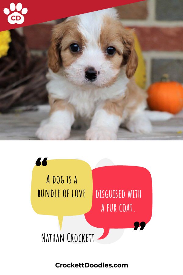 Photo credit: 