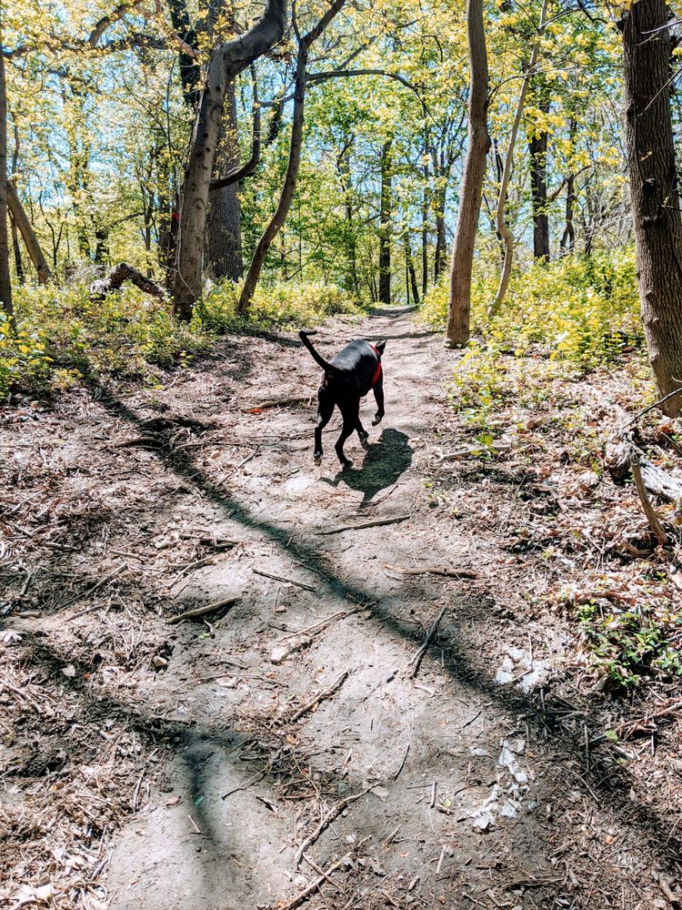 Photo credit: 
