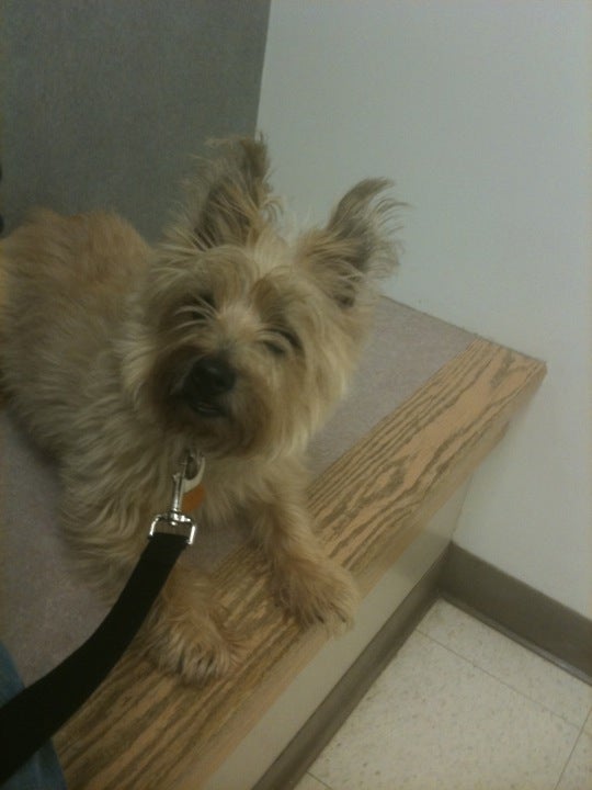 Photo credit: yellowpages