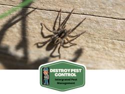 Destroy Pest Control