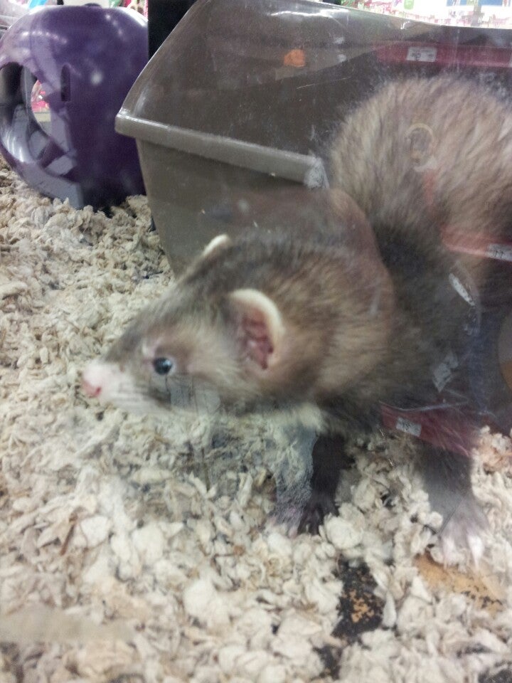 Photo credit: yellowpages