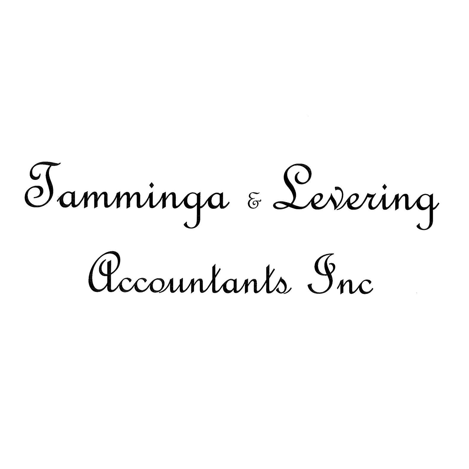 Tamminga & Levering Accountant Inc Tamminga & Levering Accountant Inc, 11304 Edgewater Drive # C, Allendale Michigan 49401