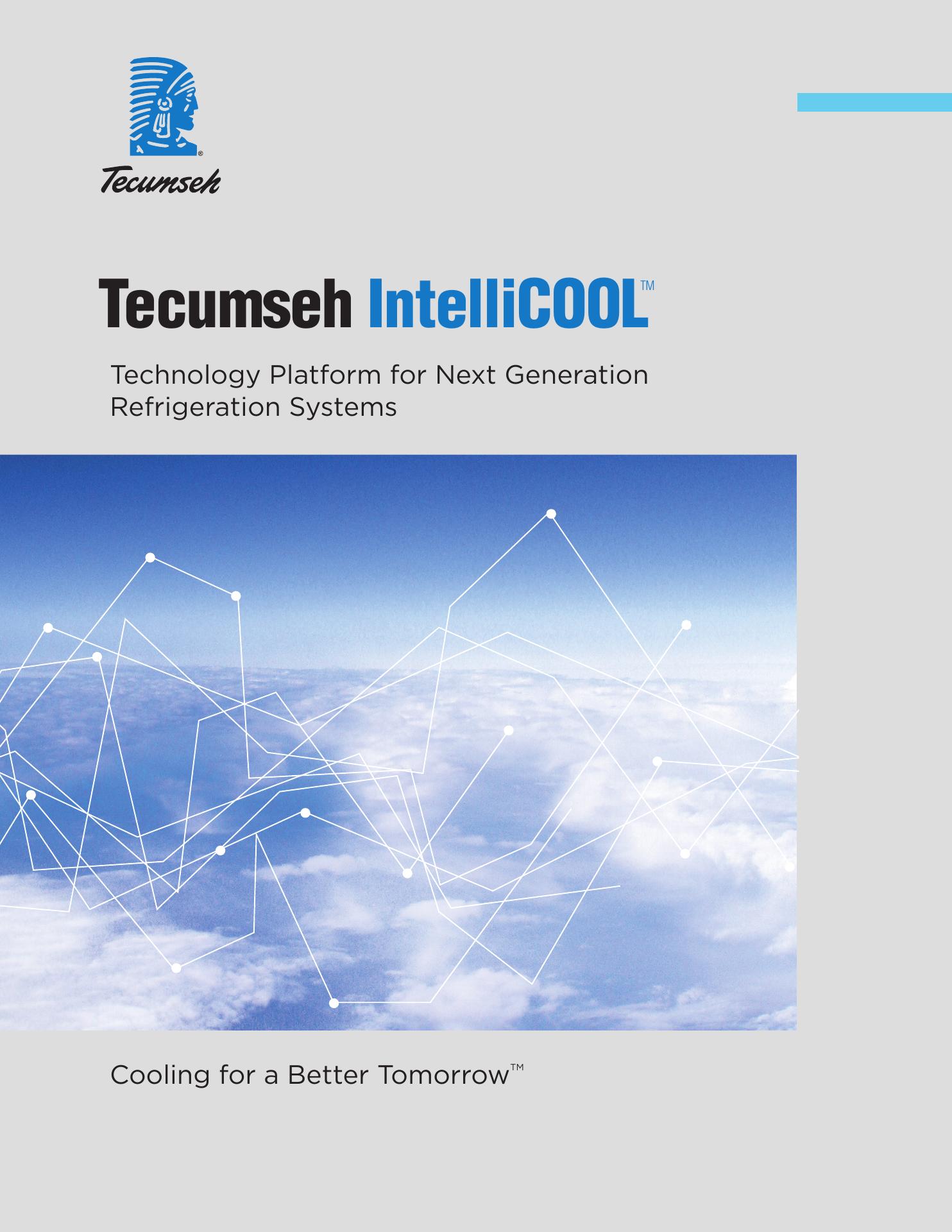 Tecumseh Products Company LLC