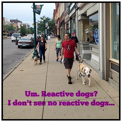 Photo credit: 