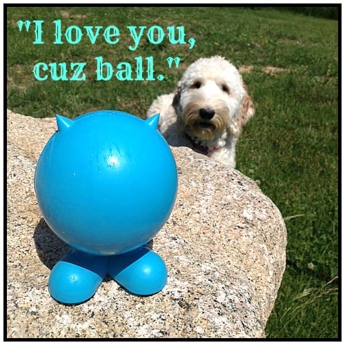Photo credit: 