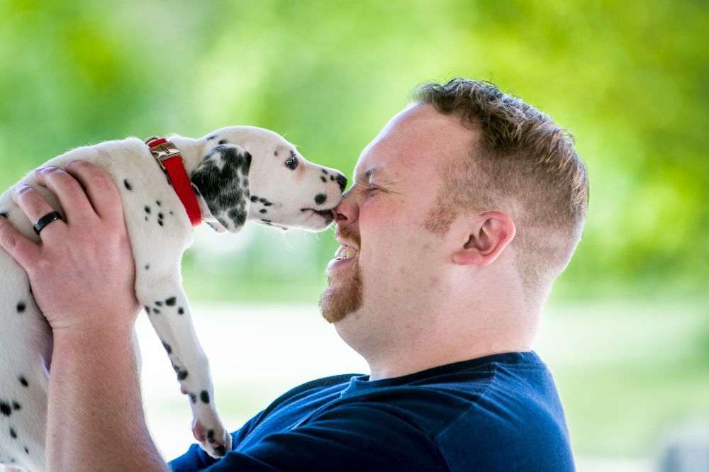 Photo credit: 