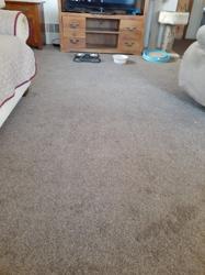 Payless Carpet & Flooring