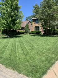 NexGreen Lawn, Tree and Exterior Pest Control