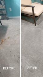 Corian Carpet & Furniture Cleaners - Carpet Cleaning