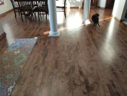 All Electric Floor Finishing