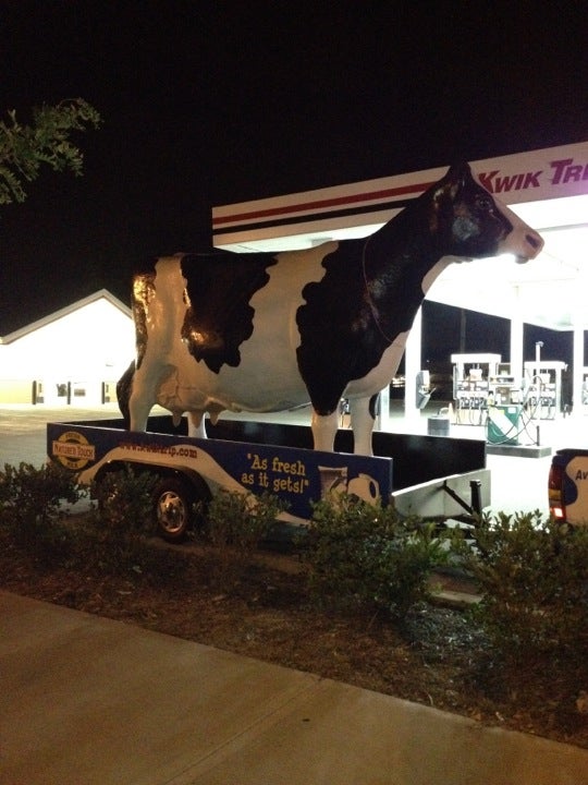 Photo credit: yellowpages