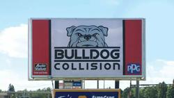 Bulldog Collision