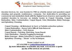 Aavalon Services, Inc.