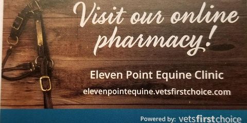 Eleven Point Equine Clinic HC 3 Box 61, Birch Tree Missouri 65438