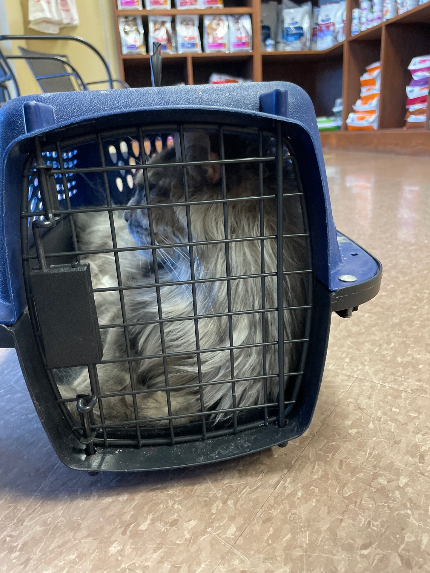 Photo credit: yellowpages