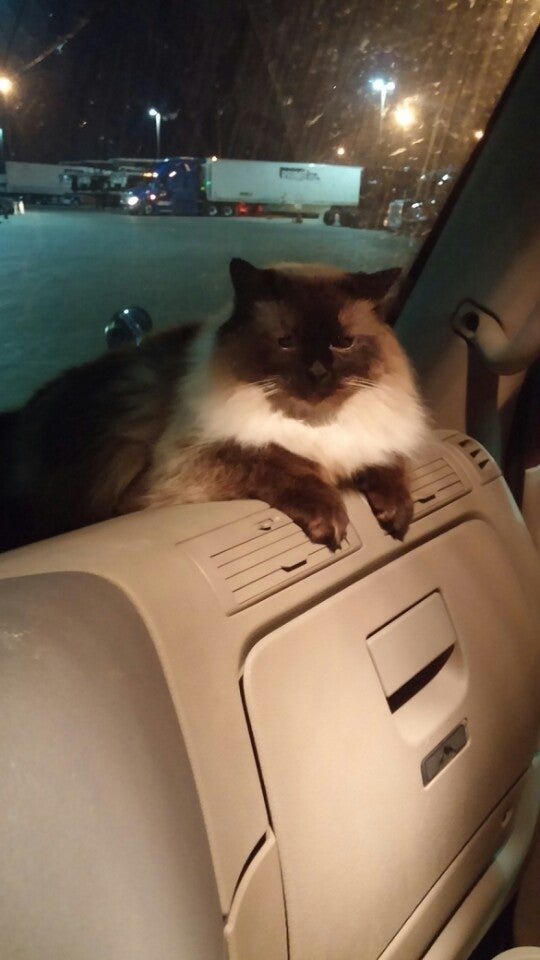 Photo credit: yellowpages