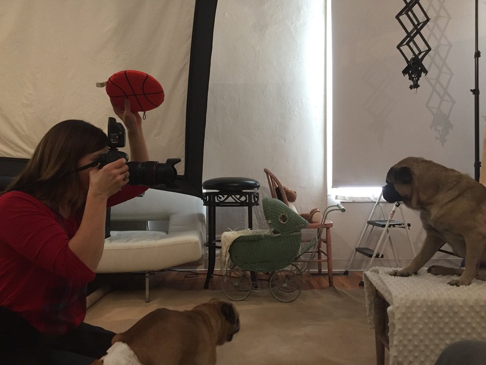 Photo credit: 