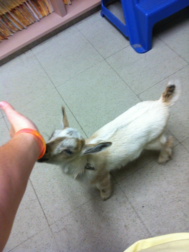 Klepper Shannon DVM Union