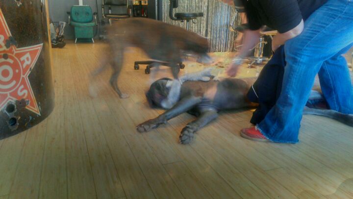 Photo credit: yellowpages