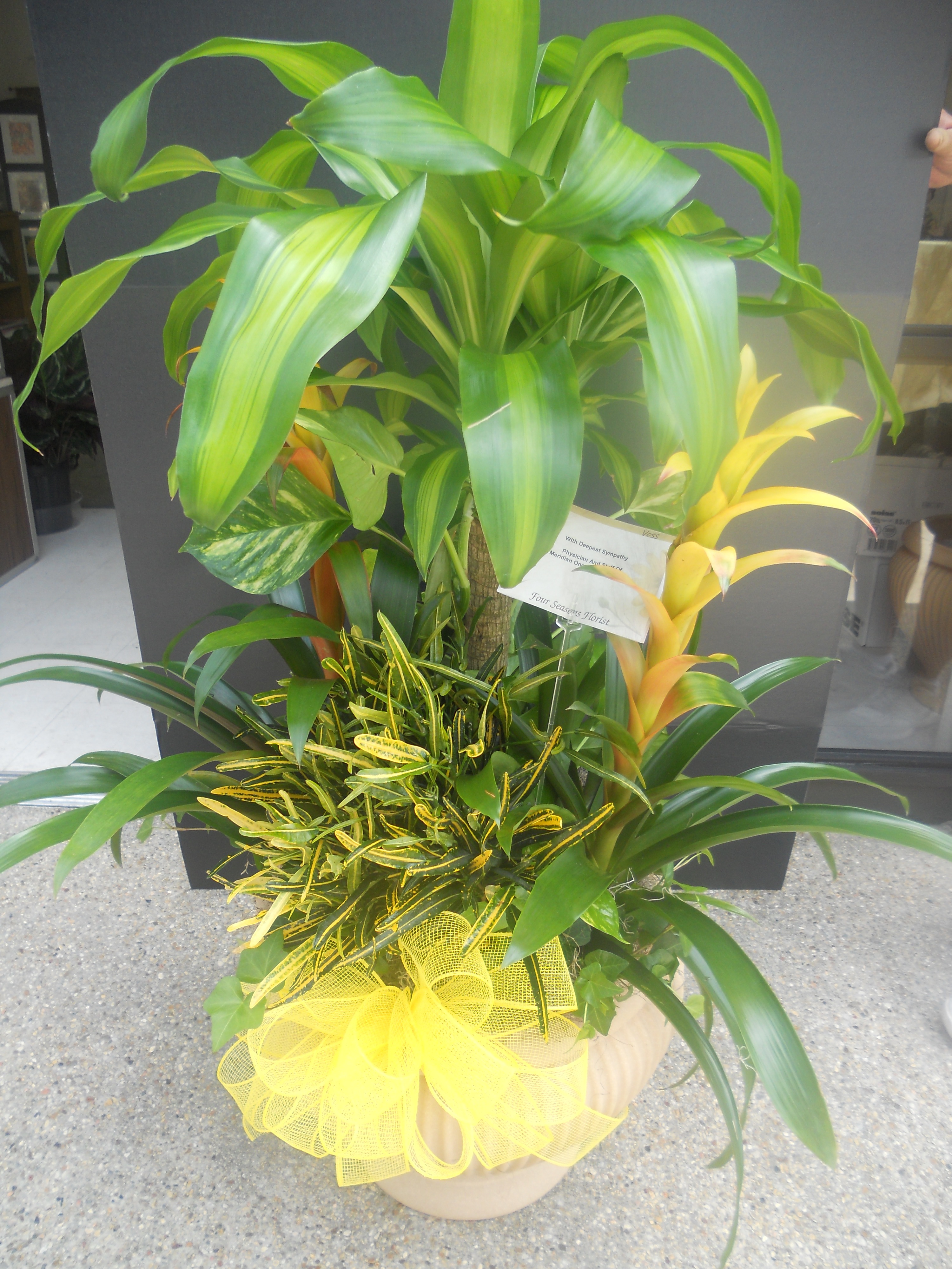 Photo credit: yellowpages