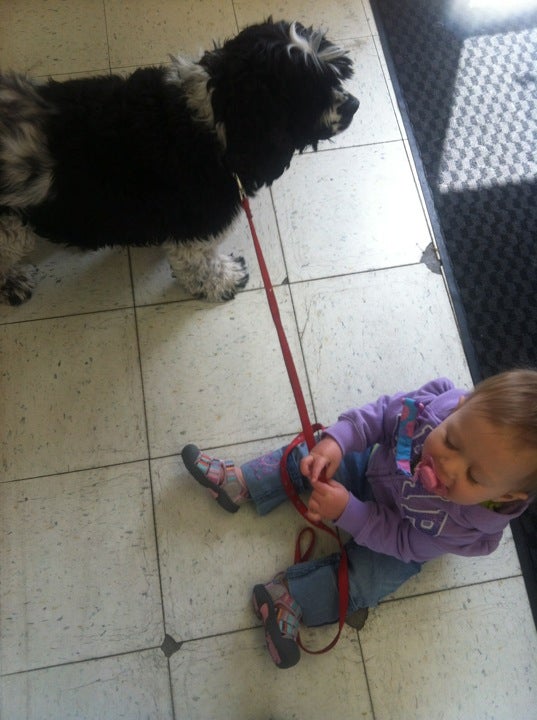 Photo credit: yellowpages