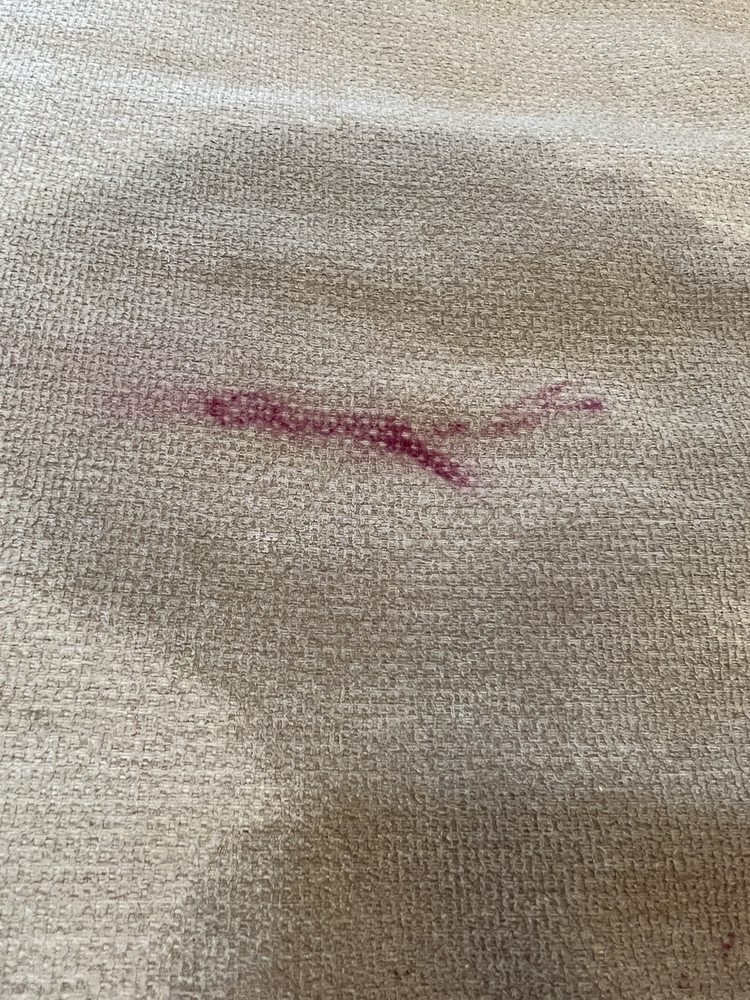 Photo credit: 