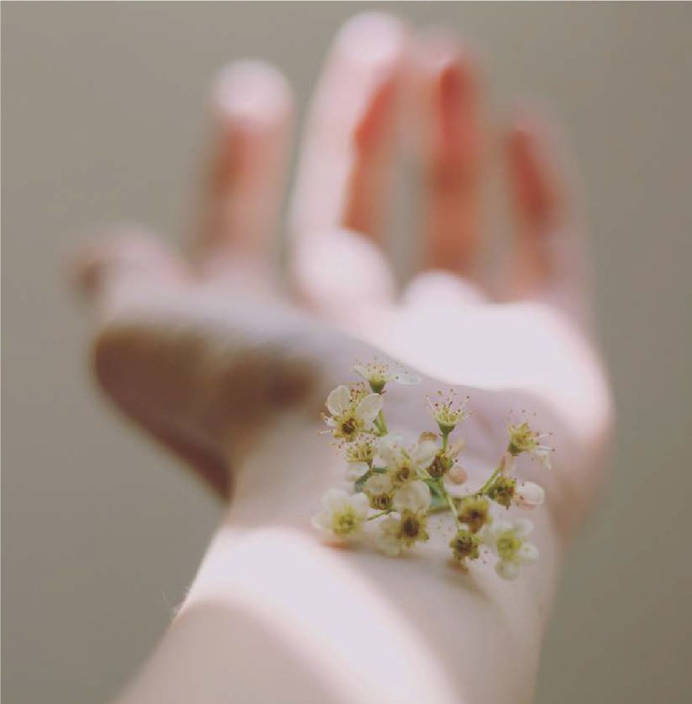 Photo credit: 
