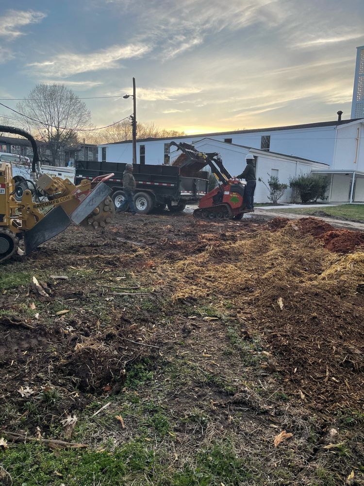 Photo credit: 