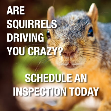 Photo credit: 