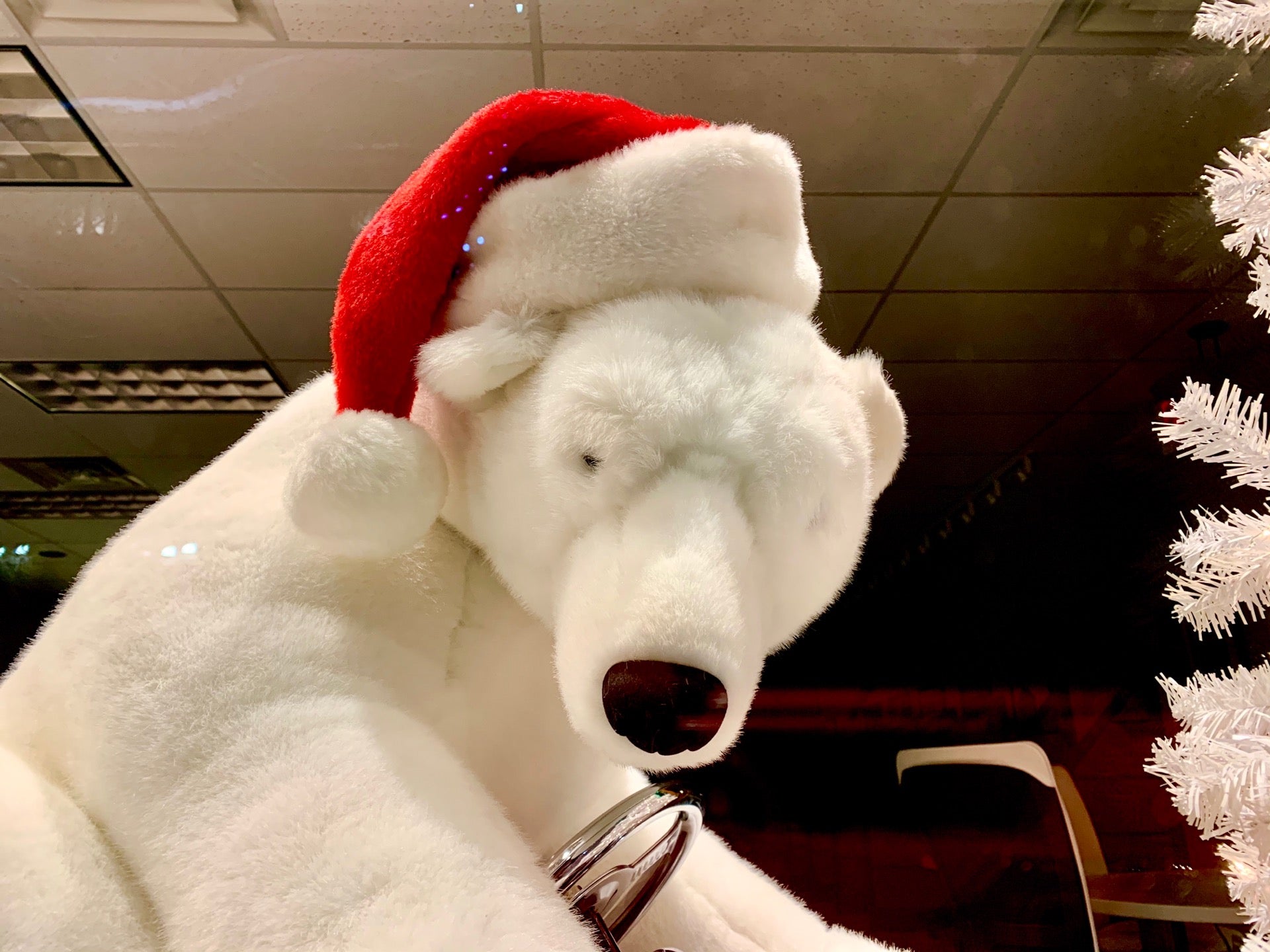 Photo credit: yellowpages