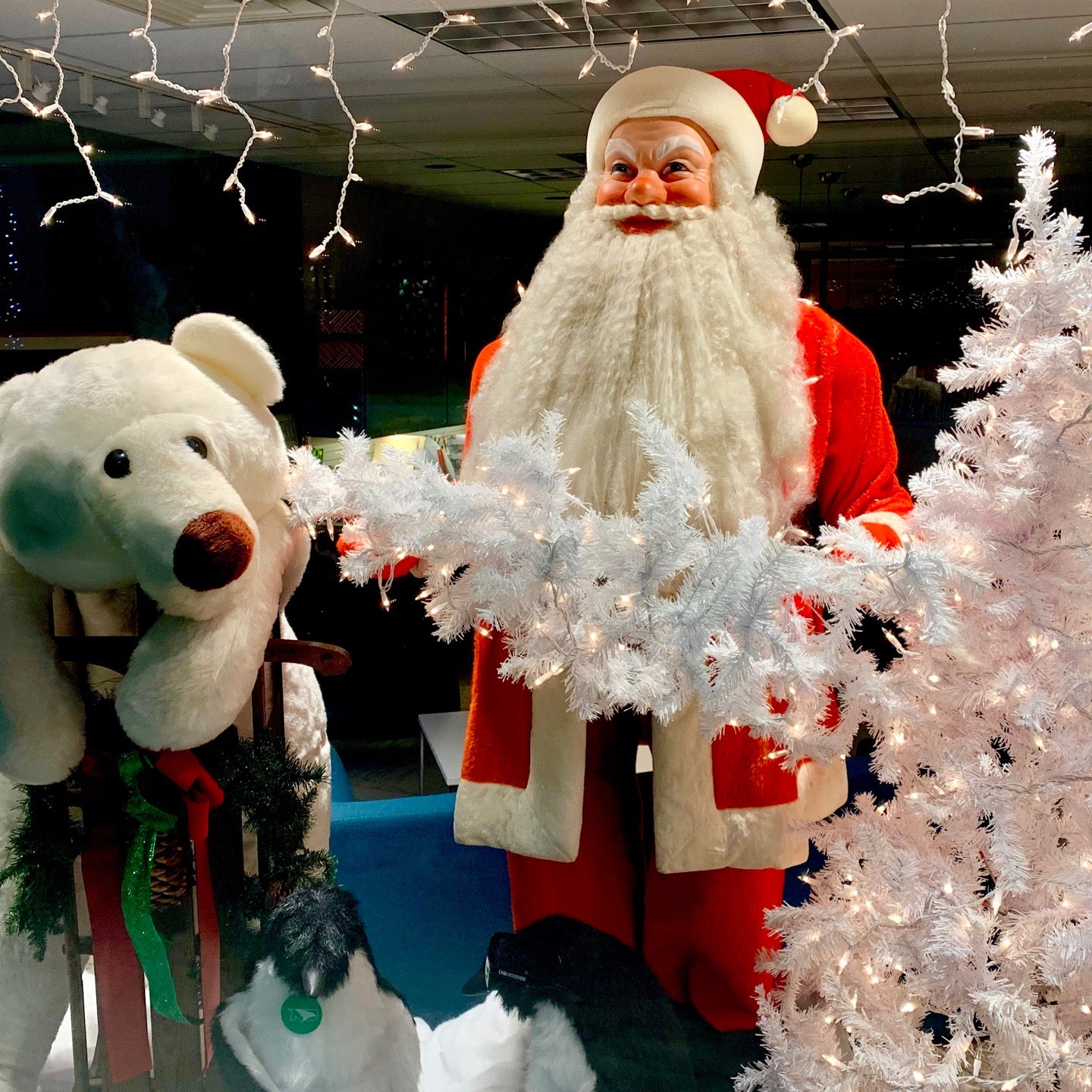 Photo credit: yellowpages