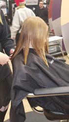 Great Clips