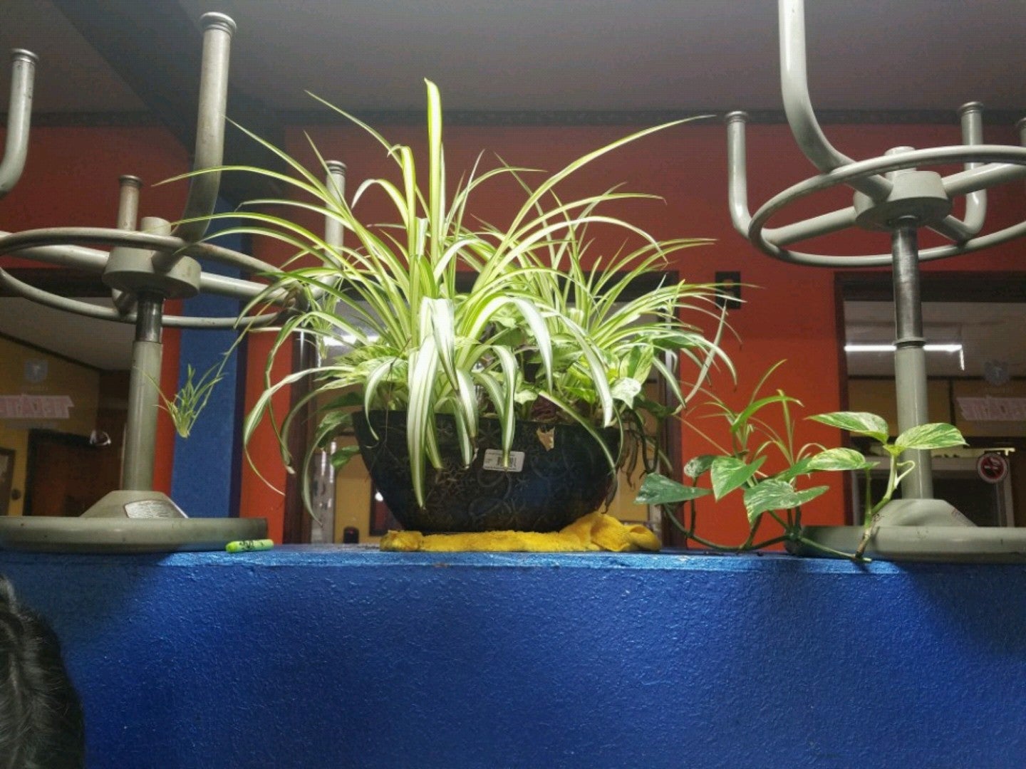 Photo credit: yellowpages