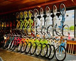 Belmar Bike Shop