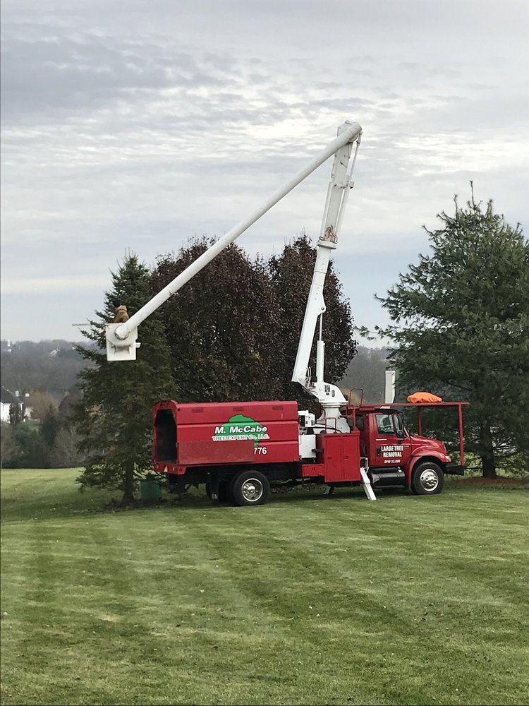 M. McCabe Tree Expert Co.