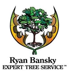 Ryan Bansky Tree