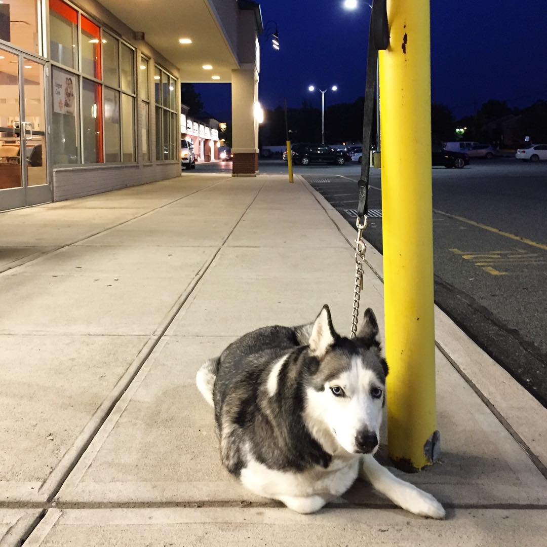 Photo credit: yellowpages