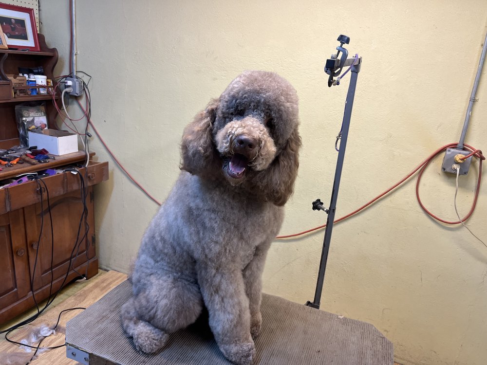 The Fur’s Flyin’ LLC Piscataway