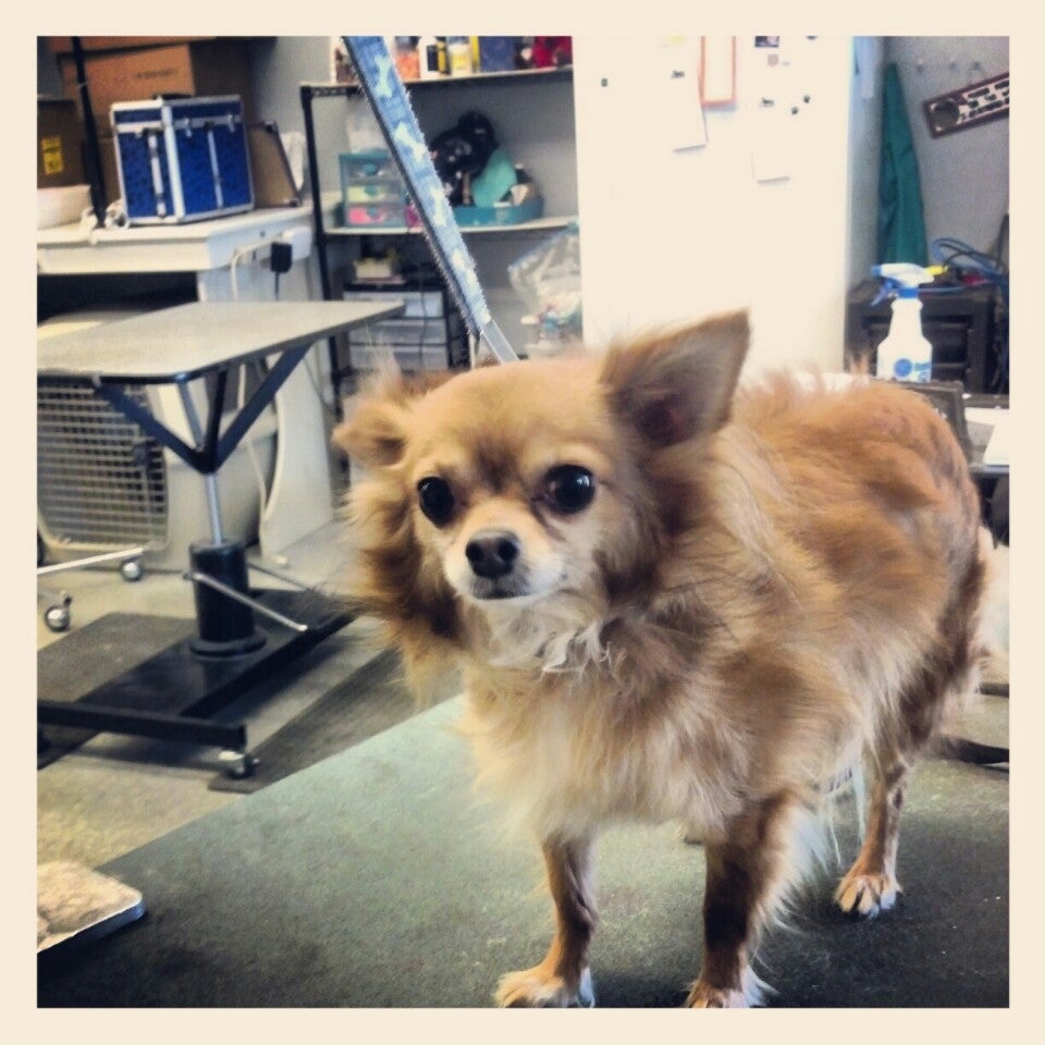 Photo credit: yellowpages