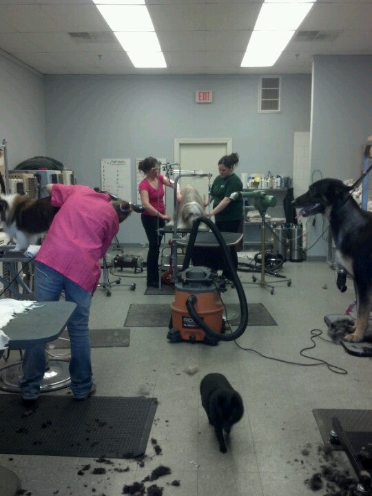 Photo credit: yellowpages