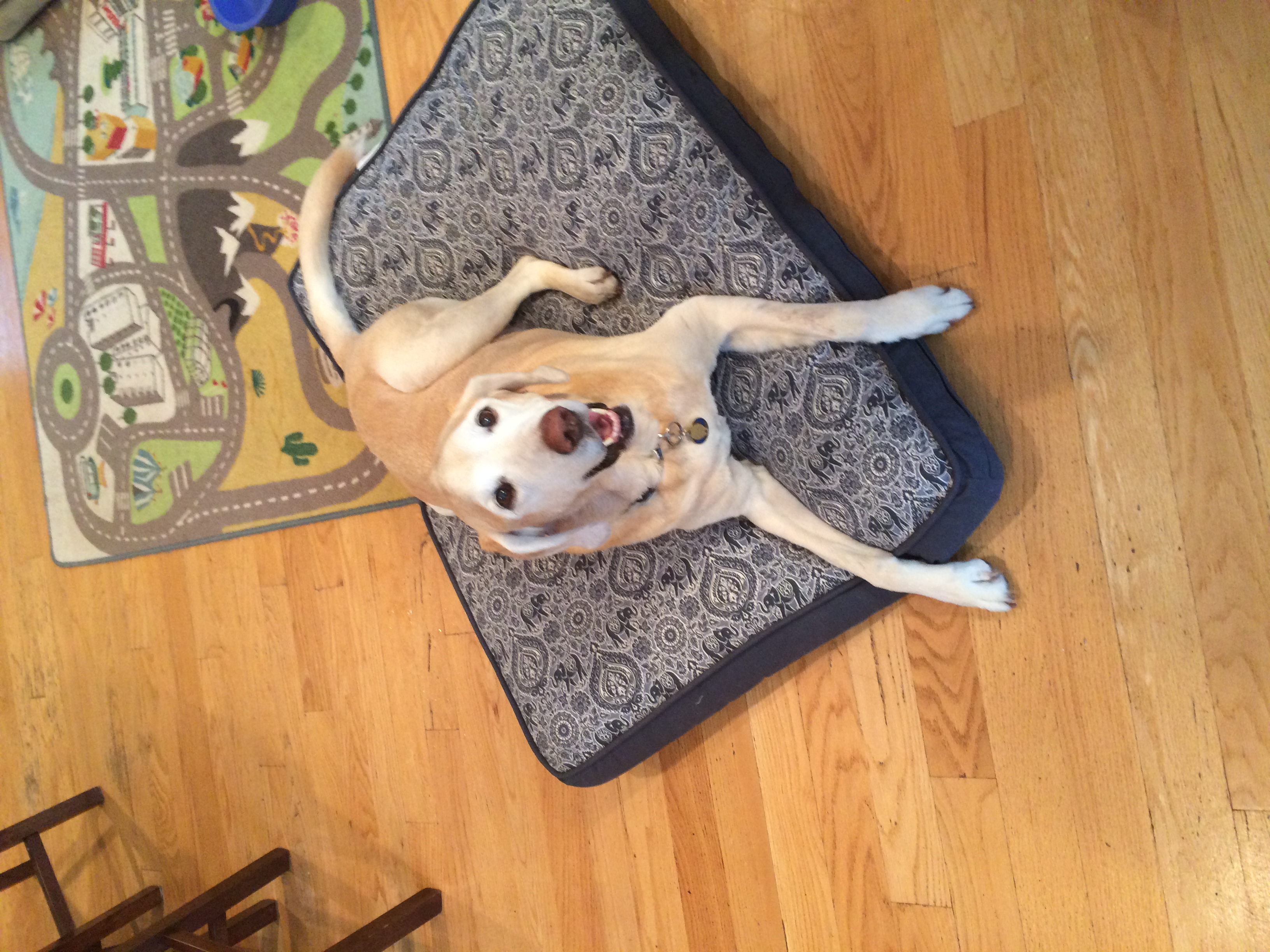 Photo credit: yellowpages