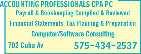 Accounting Professionals PC